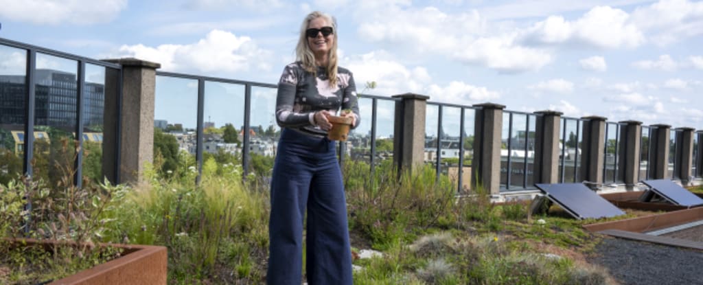 Vrouw op een dak met begroeiing en daktuin