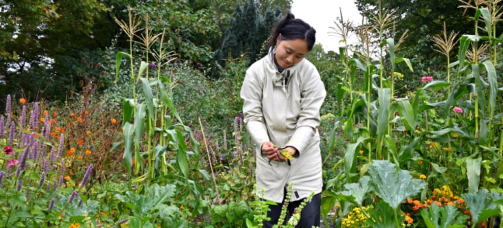 Vrouw staat in een tuin