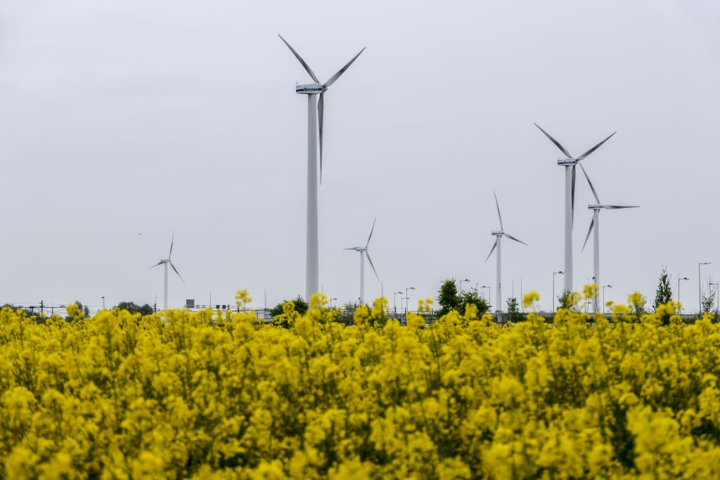 Een veld met bloemen met windmolens op de achtergrond Wind energie Duurzaam Wonen Amsterdam