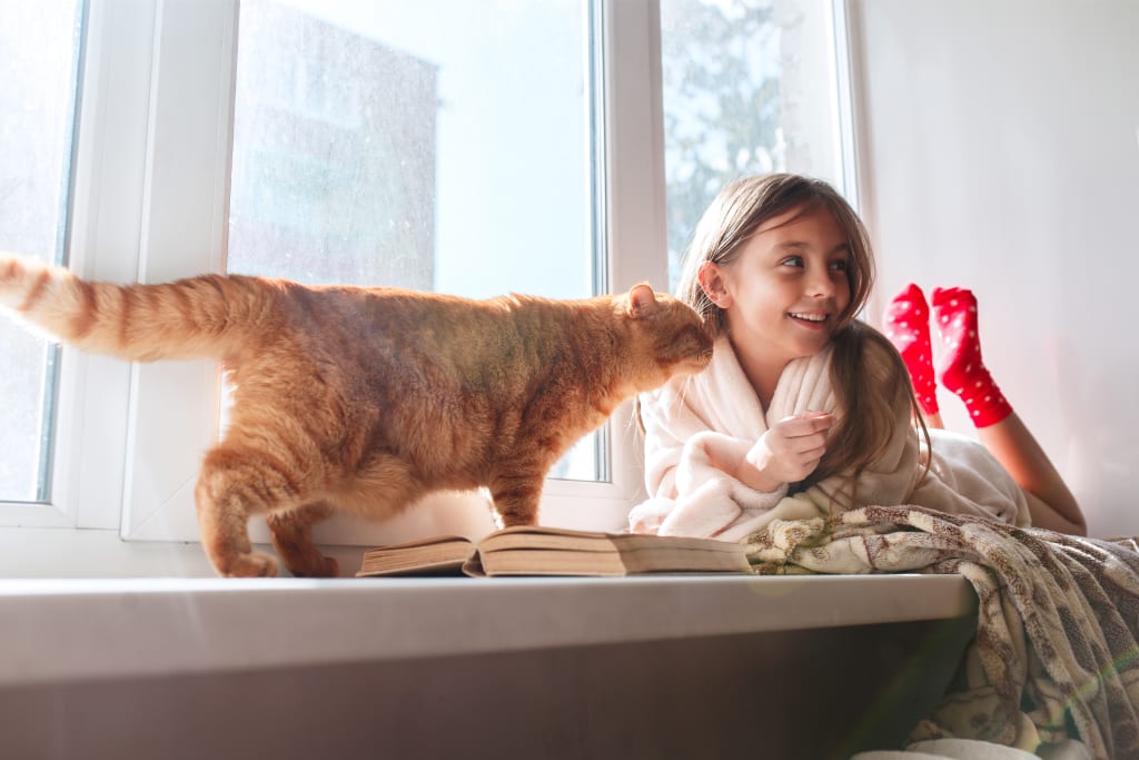 Meisje die met kat op vensterbank ligt.