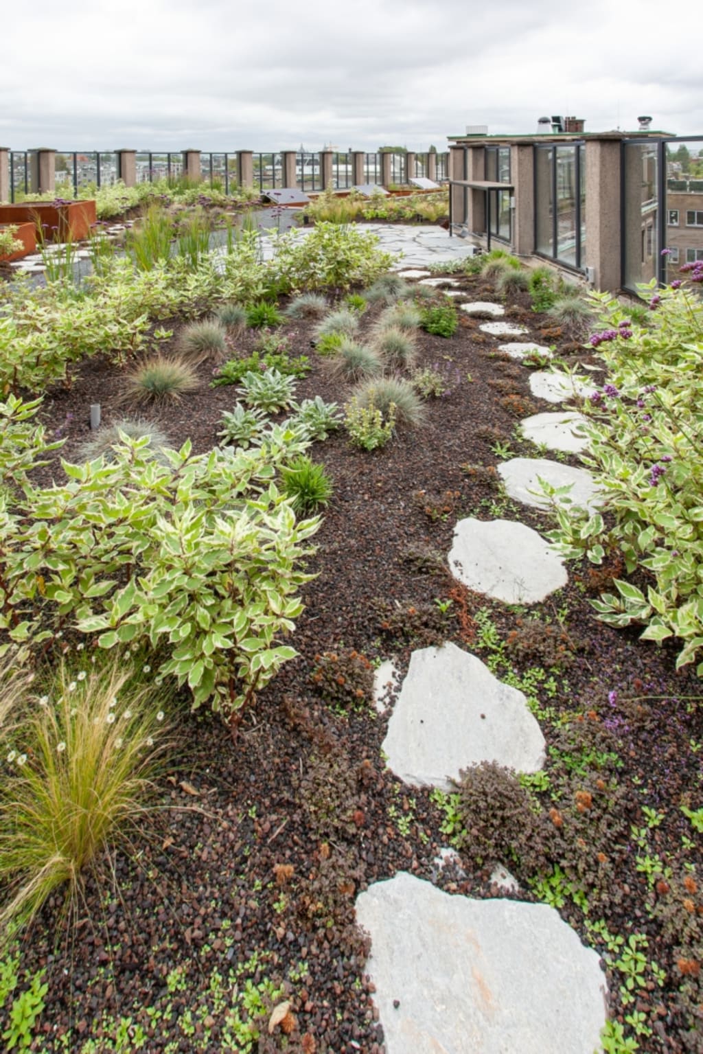 Een groendak met mooie beplanting en een klein pad van rotsen. Verder is er een reling van glas en steen.