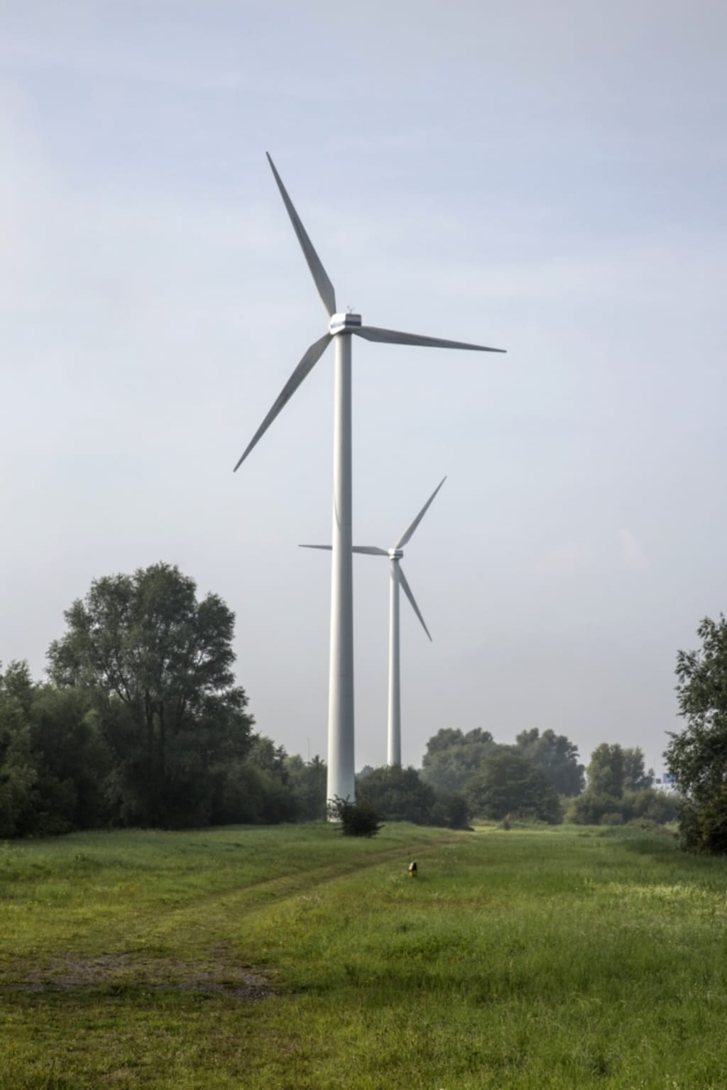 Er staan twee grote windmolens midden in een grasveld omringd door kleine bomen.