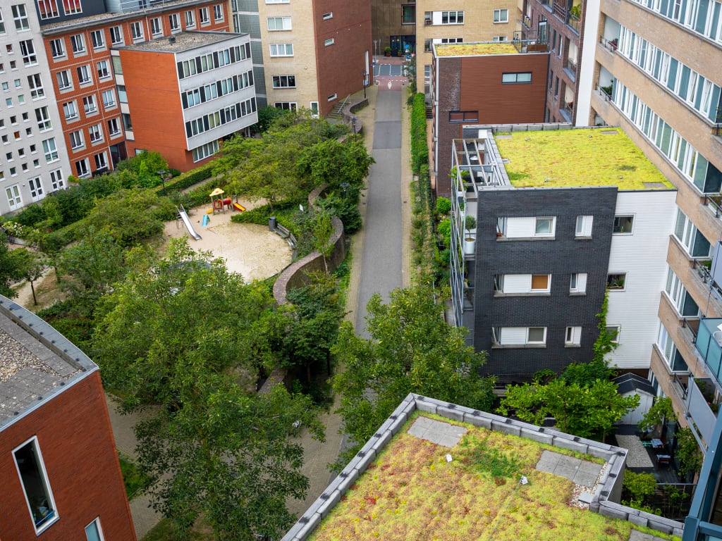 Een binnentuin tussen wooncomplexen met een speelplaats en groene daken in een stedelijke omgeving.