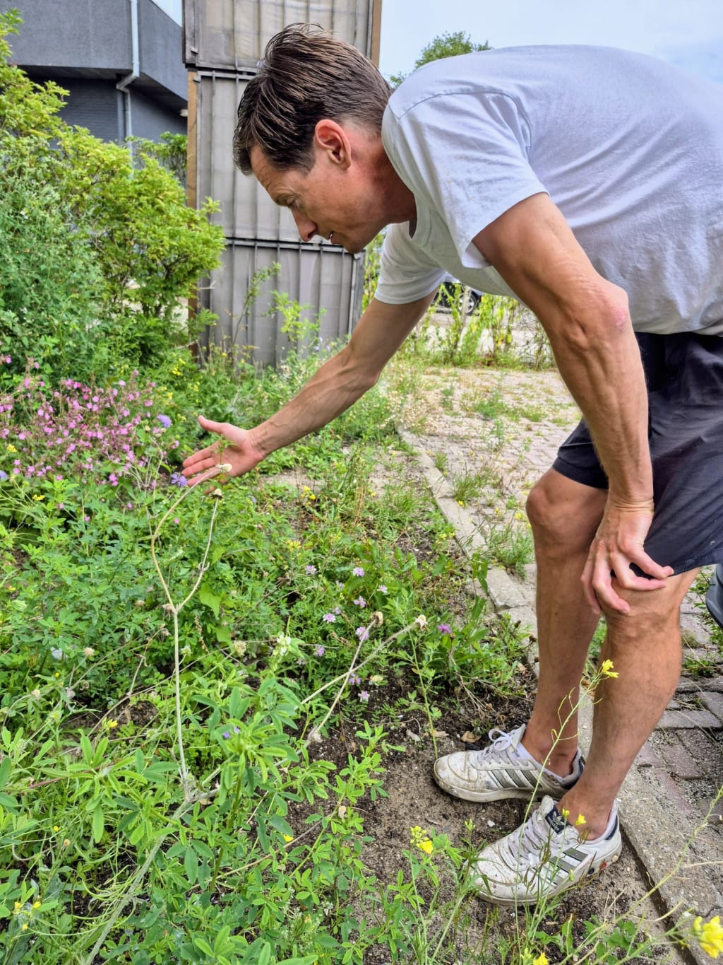 Meneer bekijkt planten op een bedrijventerrein