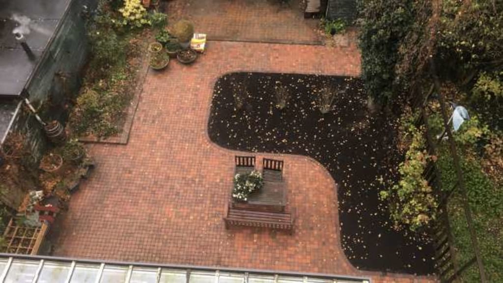 Een foto van een tuin met groen, stenen en een stukje grond van een woning in Amsterdam.