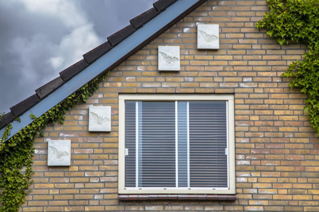 Vier vleesmuiskasten op een huis. De vleermuiskasten zijn grijs. Het huis waar ze aan hangen is bruin en er is één raam te zien.