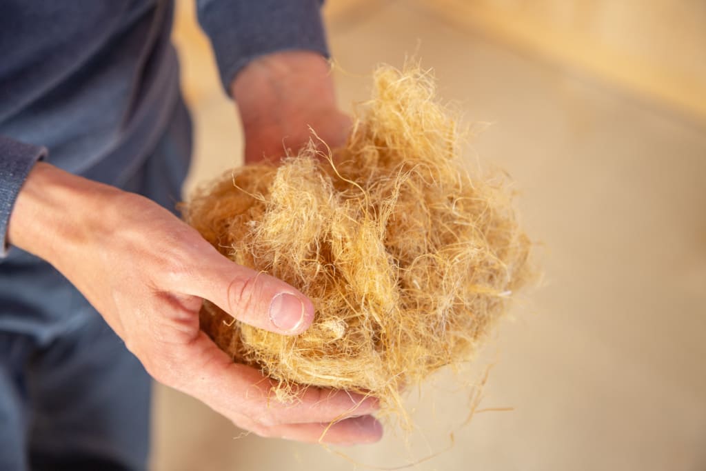 Biobased milieuvriendelijk isolatiemateriaal hennepvezel die door een man wordt vastgehouden in zijn handen