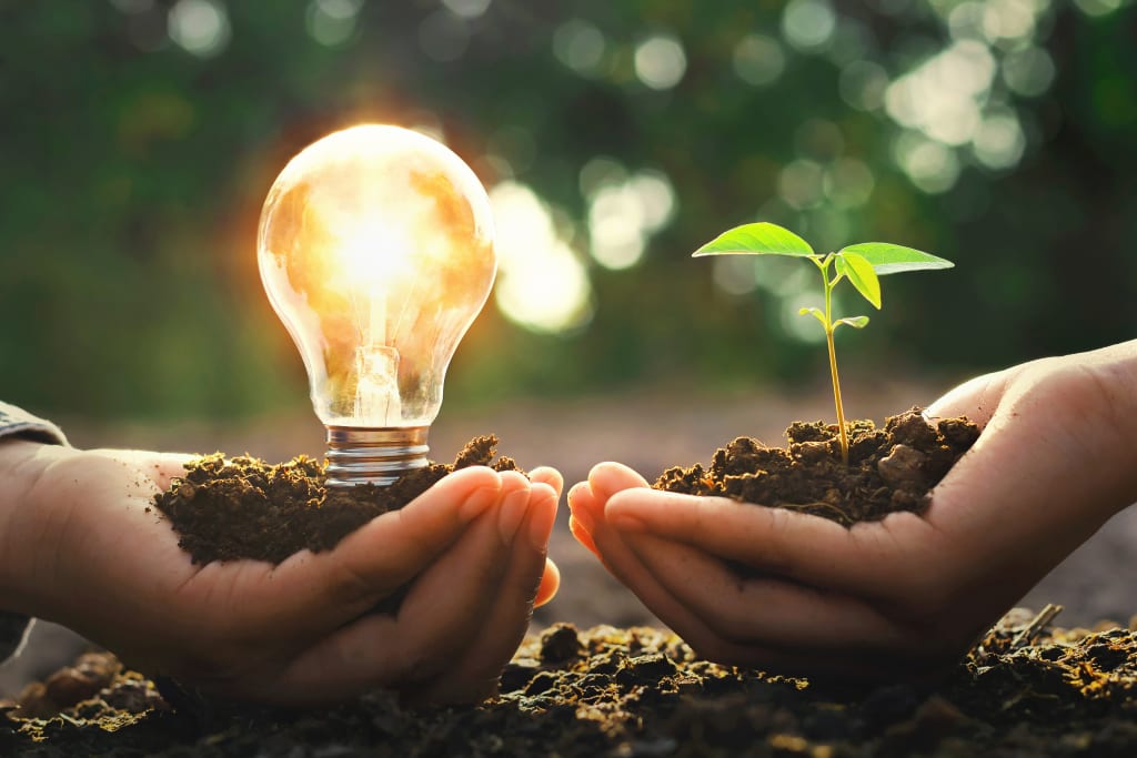Lamp en plantje in handen aarde ter illustratie voor duurzame energie