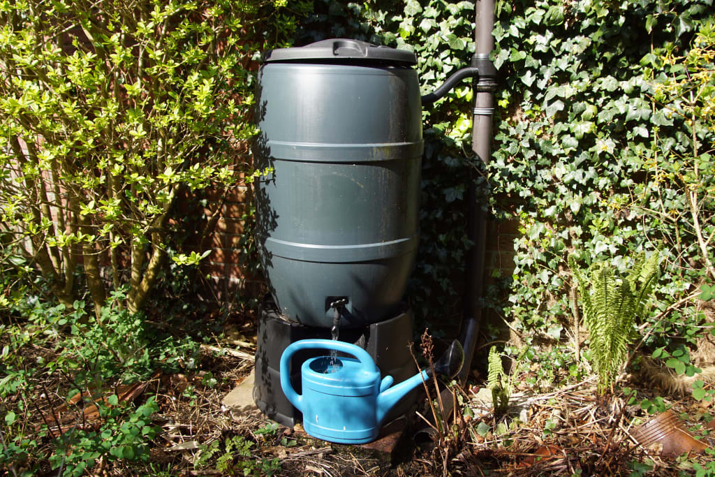 Blauwe gieter onder een groene regenton in een tuin