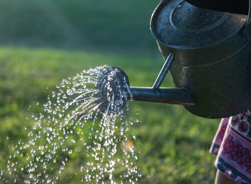 Grasveld water geven met gieter