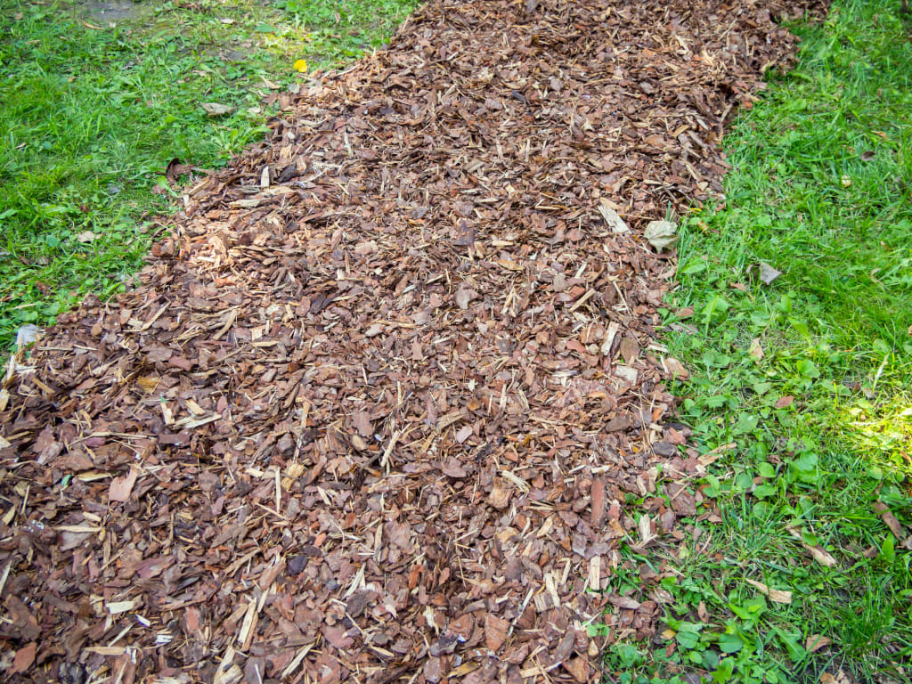 Paadje van boomschors tussen het gras