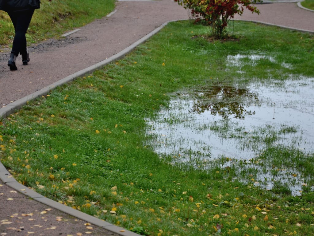 Wadi in een park