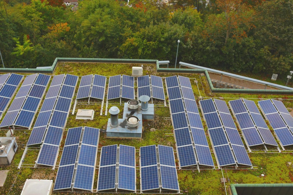 Groen dak met zonnepanelen