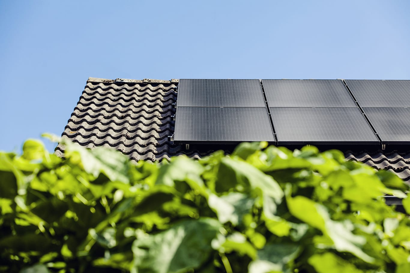 Zonnepanelen op dak