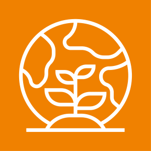 DSH Panels - Logo