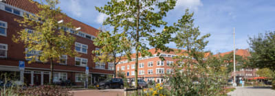 Straat in Amsterdam Zuid