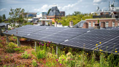 Zonnepanelen op een dak in de Vrolikstraat in Amsterdam