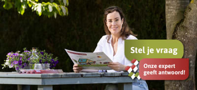 Foto van een vrouw met de tekst 'Stel je vraag' en 'Onze expert geeft antwoord!'