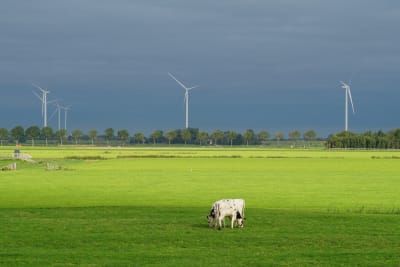 weiland met windmolens