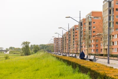 Een woonwijk met flats grenzend aan een grasveld. De flats zijn oranje en liggen aan een straat met een aantal lantaarnpalen en bankjes.
