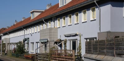 Rijtjeshuizen met lichtblauwe gevels en rode daken, met houten schuttingen en planten ervoor.