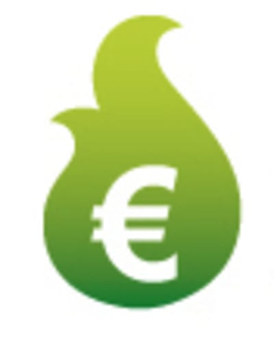 Een groen vlammetje met daarin een euroteken.