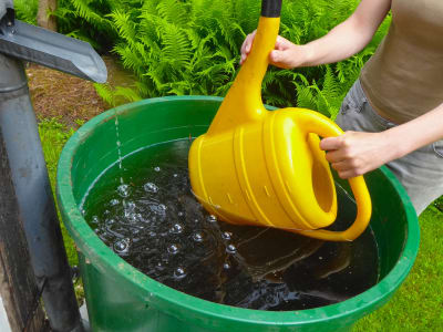 Nuttig gebruik regenwater door gieter te vullen vanuit een regenton