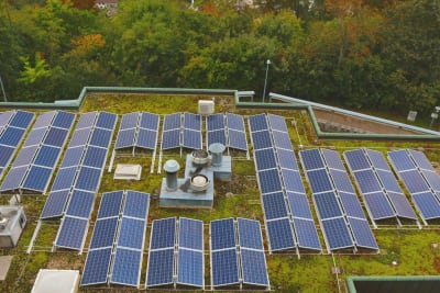 Groen dak met zonnepanelen