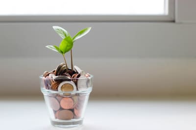 Klein glazen potje met kleingeld erin waar een plantje uit groeit.