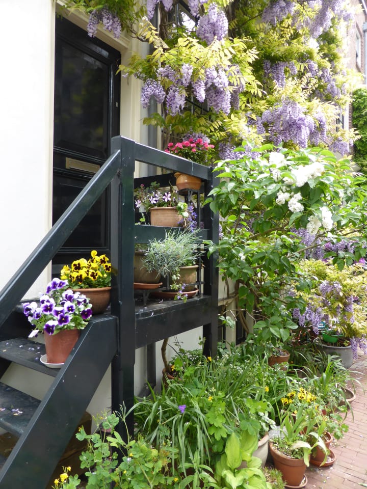 Planten en bloemen op een trap