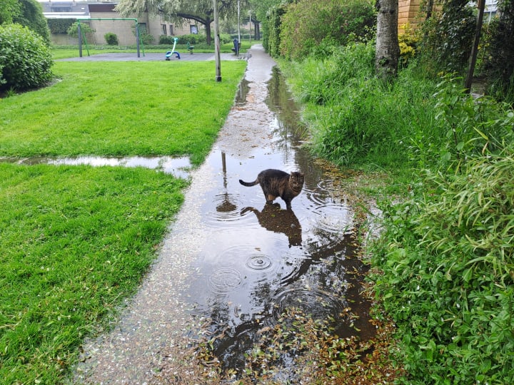 Wateroverlast op wandelpad